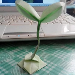 立体树苗的折法图解 折纸树苗的方法步骤图