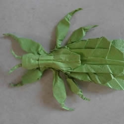 叶虫的折纸方法图解 如何折叶子虫的步骤图
