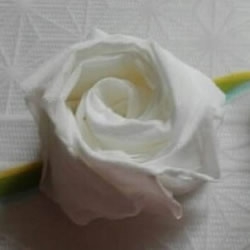 一张餐巾纸折玫瑰花 只需几分钟就可以搞定