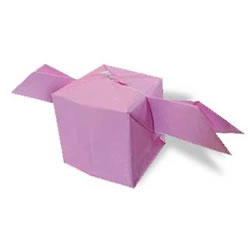 带翅膀小盒子的折纸方法