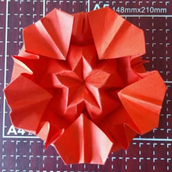 漂亮五角星花怎么折图解 带有五个爱心花瓣