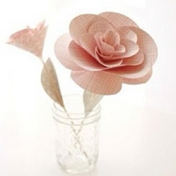 剪纸制作漂亮玫瑰花 玫瑰花的做法剪纸图解