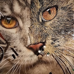 衍纸艺术家创作“超现实”动物肖像作品